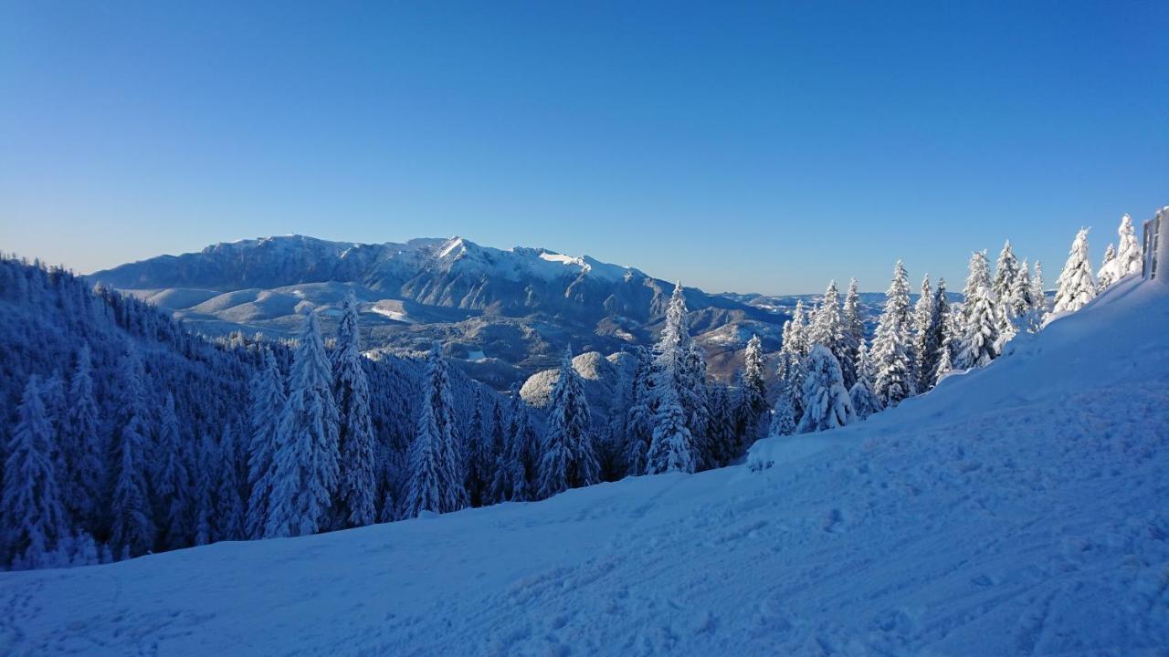 Apartament 2706 Alpin Resort, Etaj 7, Poiana Brasov Eksteriør billede