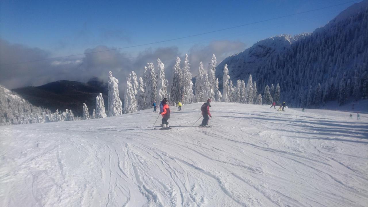 Apartament 2706 Alpin Resort, Etaj 7, Poiana Brasov Eksteriør billede