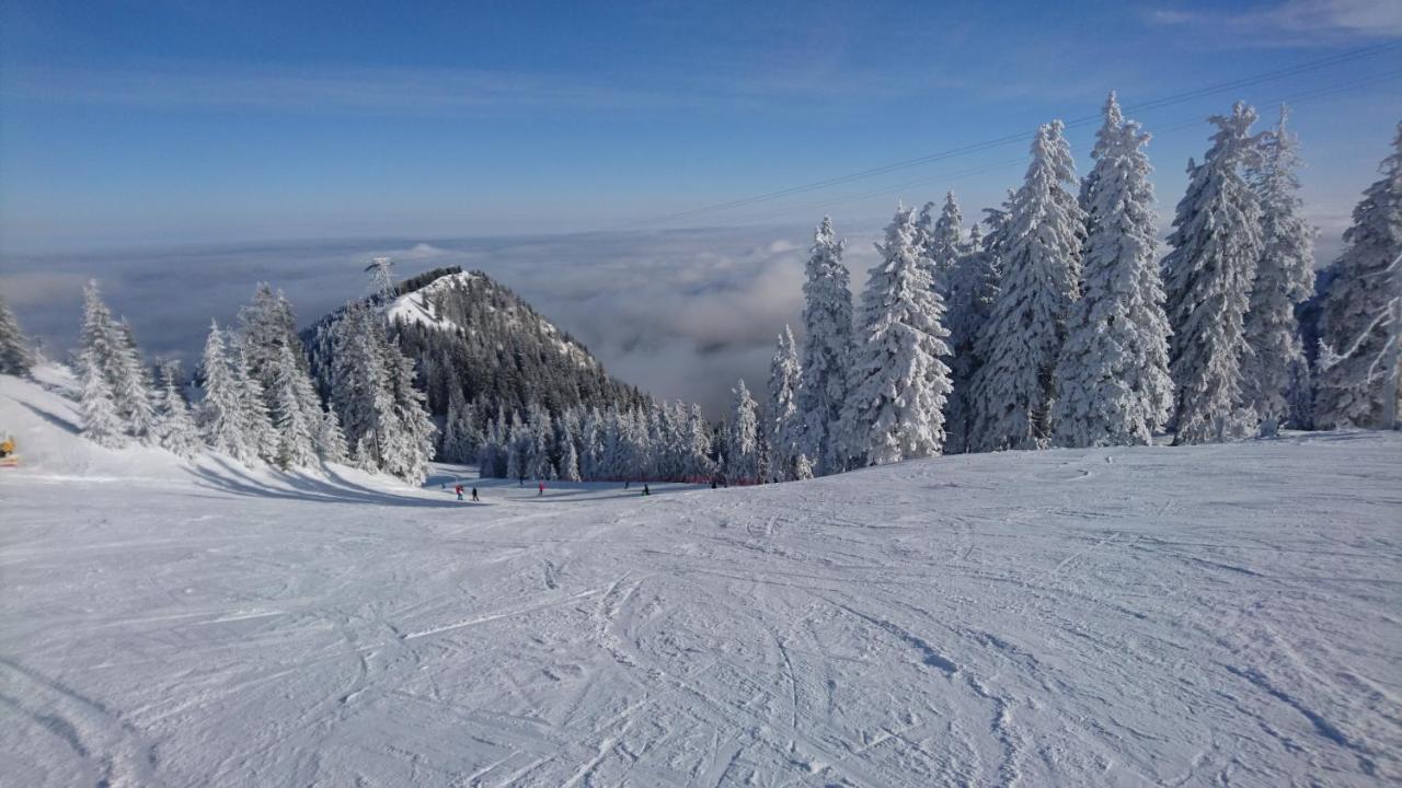 Apartament 2706 Alpin Resort, Etaj 7, Poiana Brasov Eksteriør billede