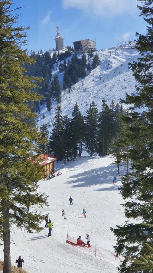 Apartament 2706 Alpin Resort, Etaj 7, Poiana Brasov Eksteriør billede